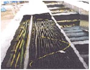 5c0f7d324d442.jpg image022.jpg